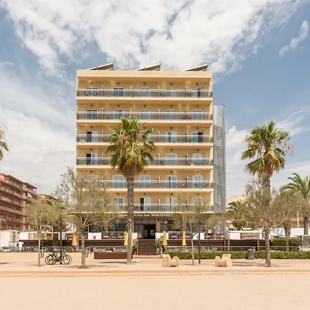 Monterrey By Pierre & 4* Roses